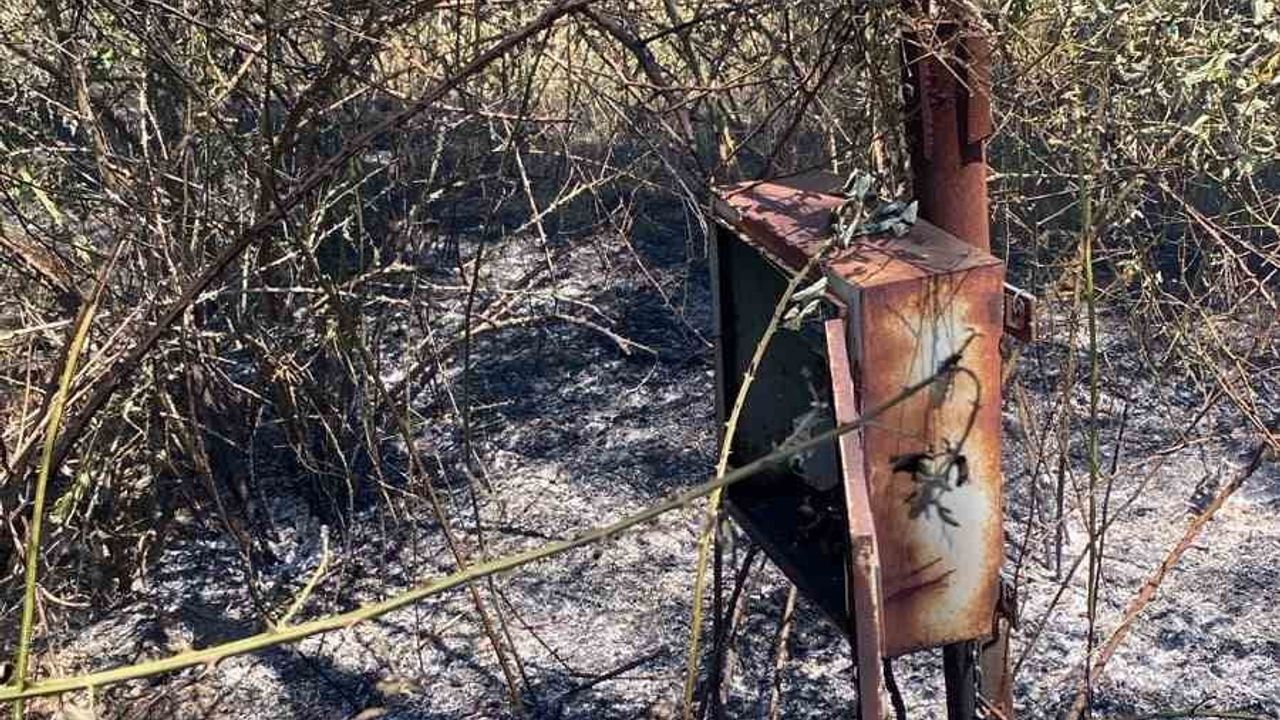 Kuyucak'ta iş birliği söndürdü: ziraat yangını ormana sıçramadan kontrol altına alındı