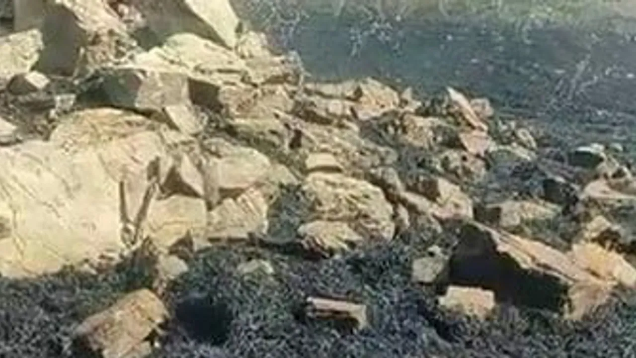Lice'de biçerdöver yanarak kullanılamaz hâle geldi