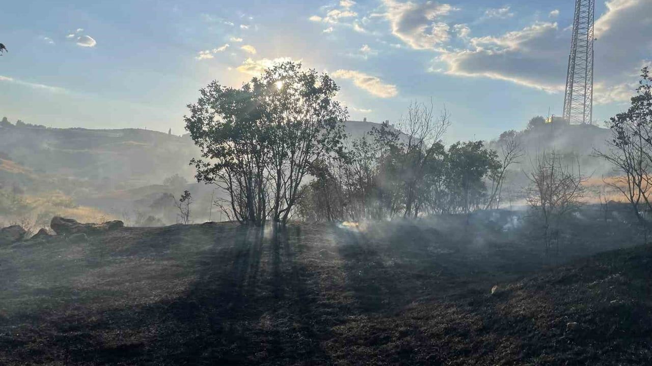 Lice'de zirai ve ormanlık yangın yaklaşık 5 saatte söndürüldü