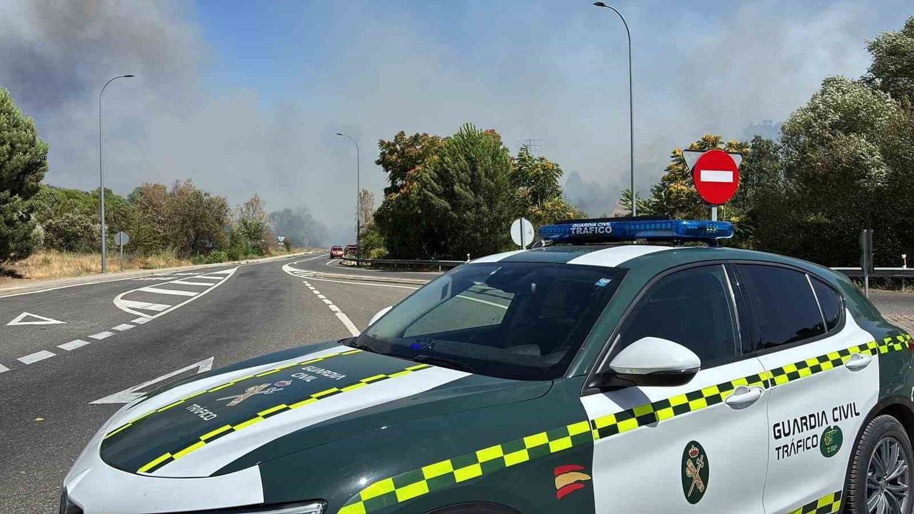 madrid ve avila yangınları: 45 bin hektara yakın alan zarar gördü