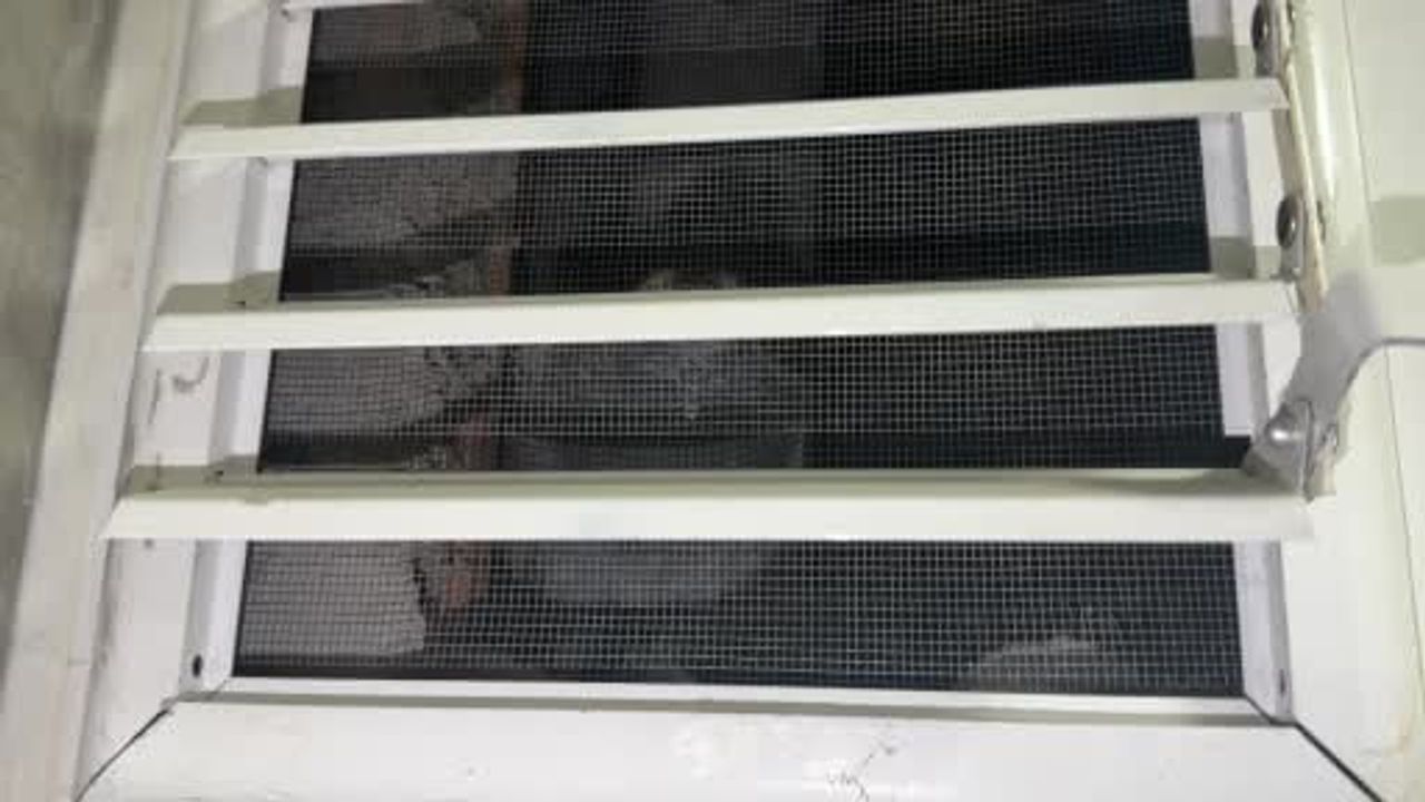 Mahsur kalan güvercini pencereyi sökerek kurtardı
