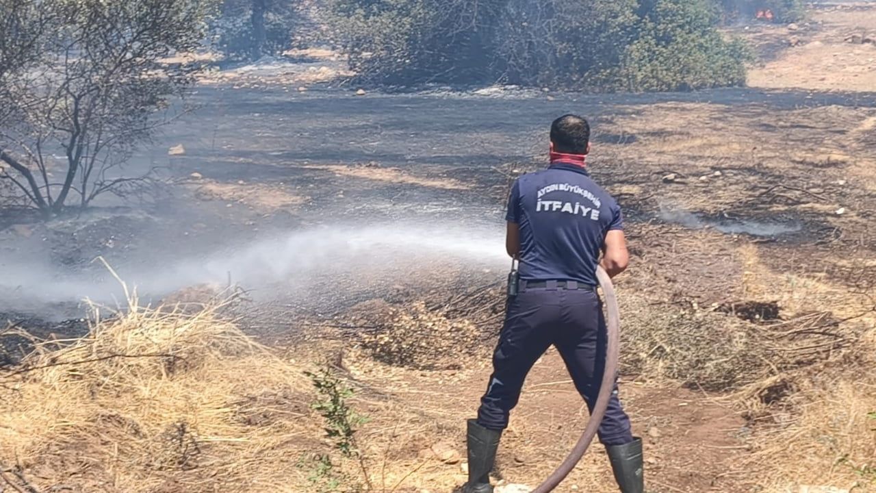 Makilik yangın Didim'de hızlı müdahale ile kontrol altına alındı
