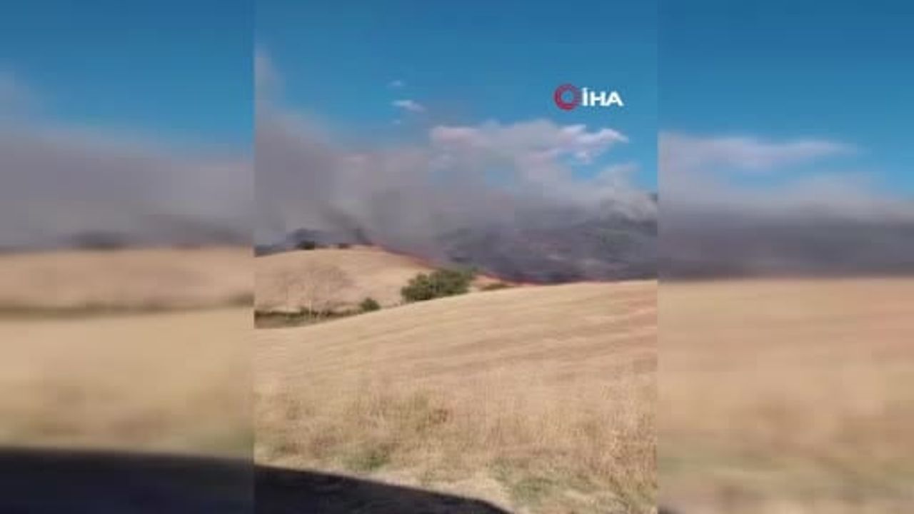 Malkara'da anız yangını ormana sıçradı: 90 dekarlık alan zarar gördü