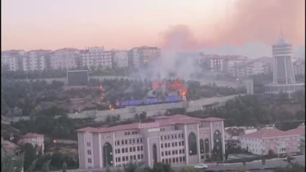 Mamak'ta parktaki ağaçlık yangın itfaiye müdahalesiyle söndürüldü