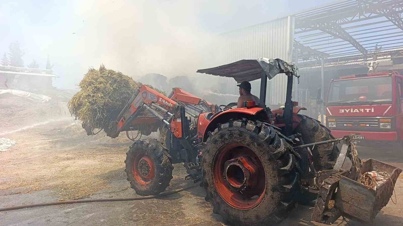 Manavgat'ta besihanede çıkan yangında 60 saman balyası kül oldu