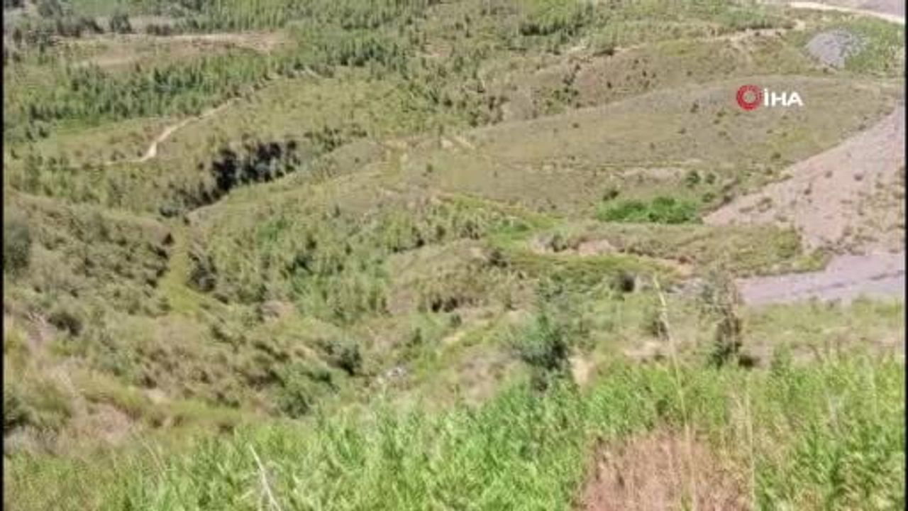 Manavgat'ta Beydiğin Mahallesi'nde uçurum kazası: 5 kişi yaşamını yitirdi, 2 yaralı