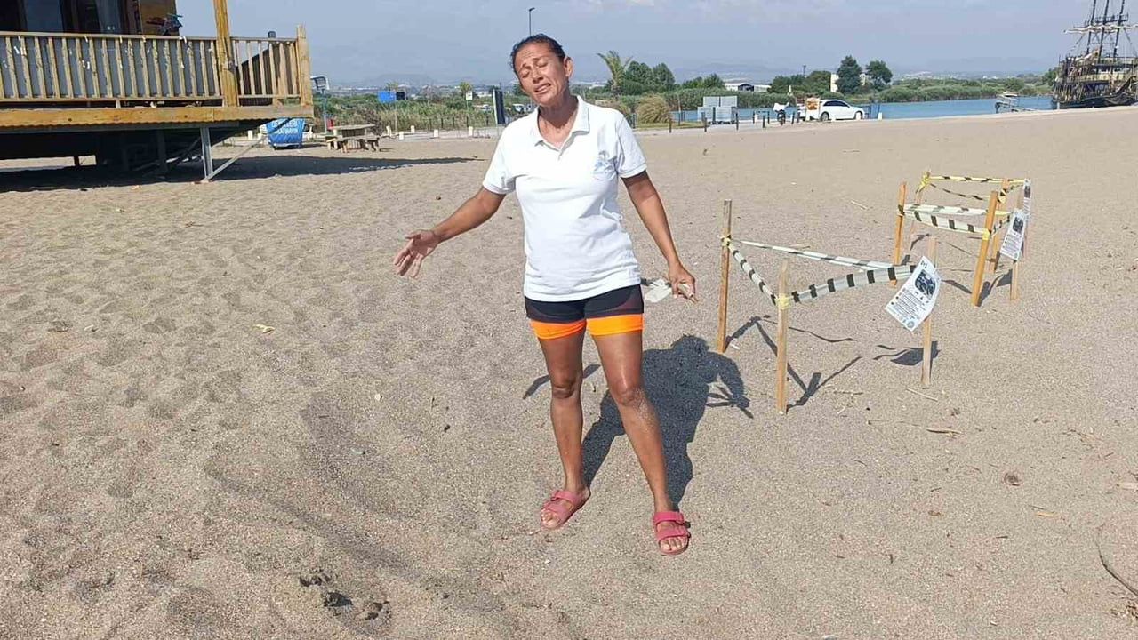 Manavgat’ta caretta caretta yavrularına koruma nöbeti