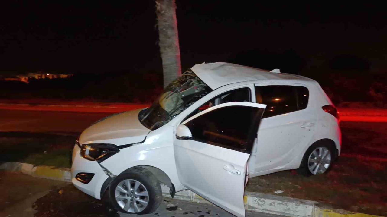 Manavgat'ta refüjdeki palmiyeye çarpan otomobilin sürücüsü yaralandı