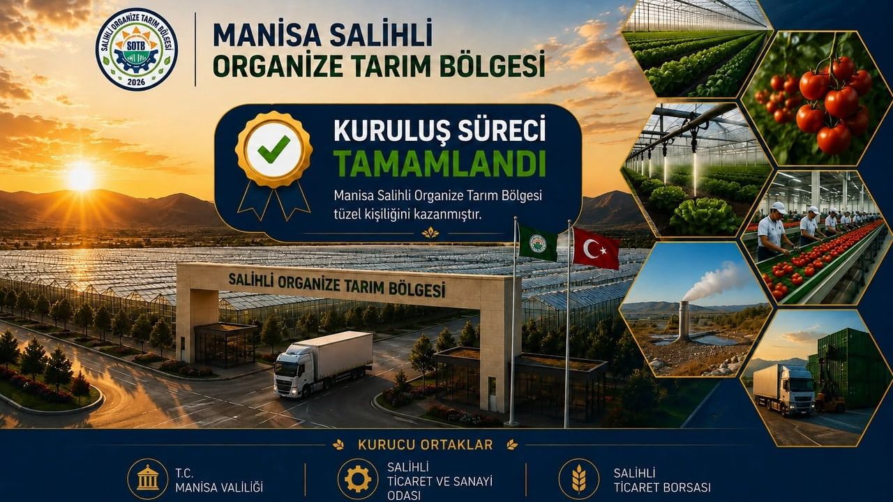 Manisa jeotermal seracılıkta atak yaptı