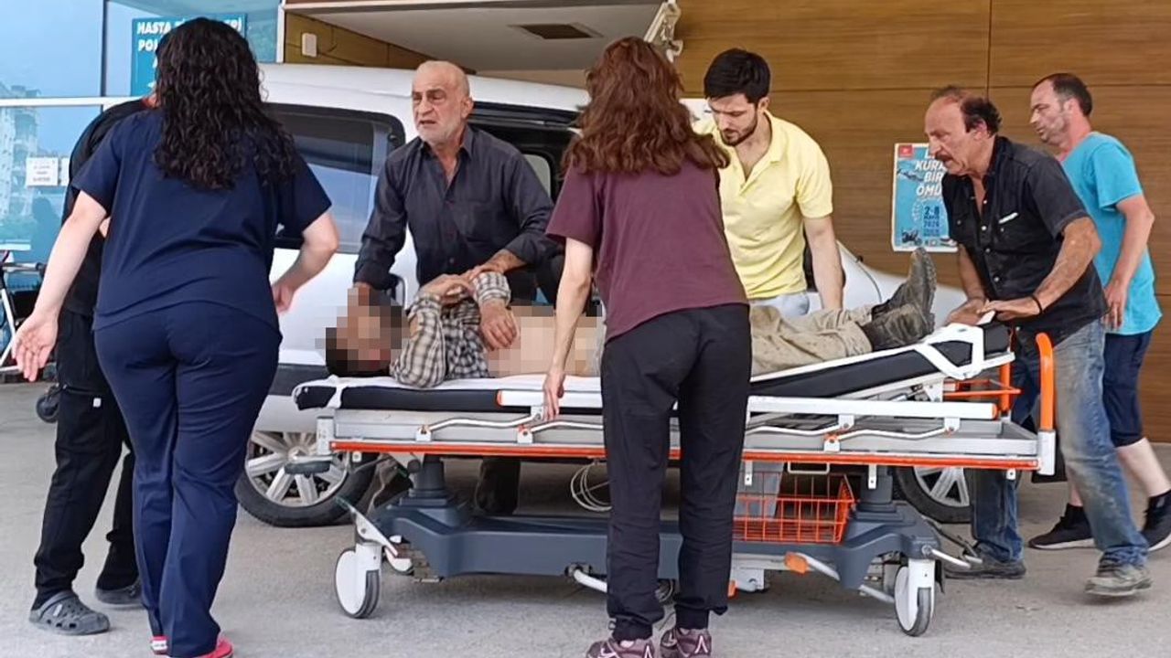 Mantar toplarken kayalıklardan düşen imam ağır yaralandı