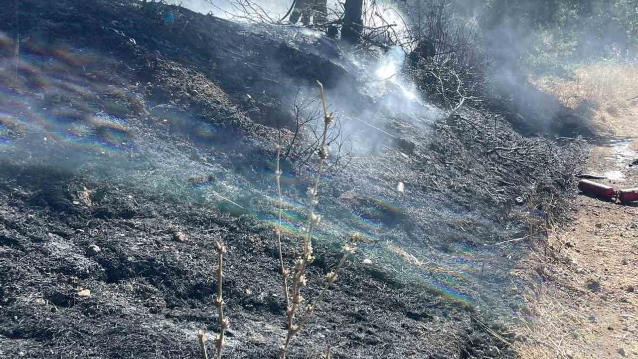 Manyas'ta araç yangını otluk alana sıçradı, itfaiye söndürdü