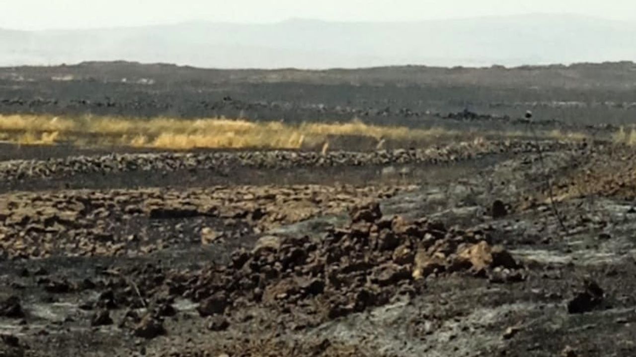 Mardin’de anız yangınına havadan ve karadan müdahale ediliyor
