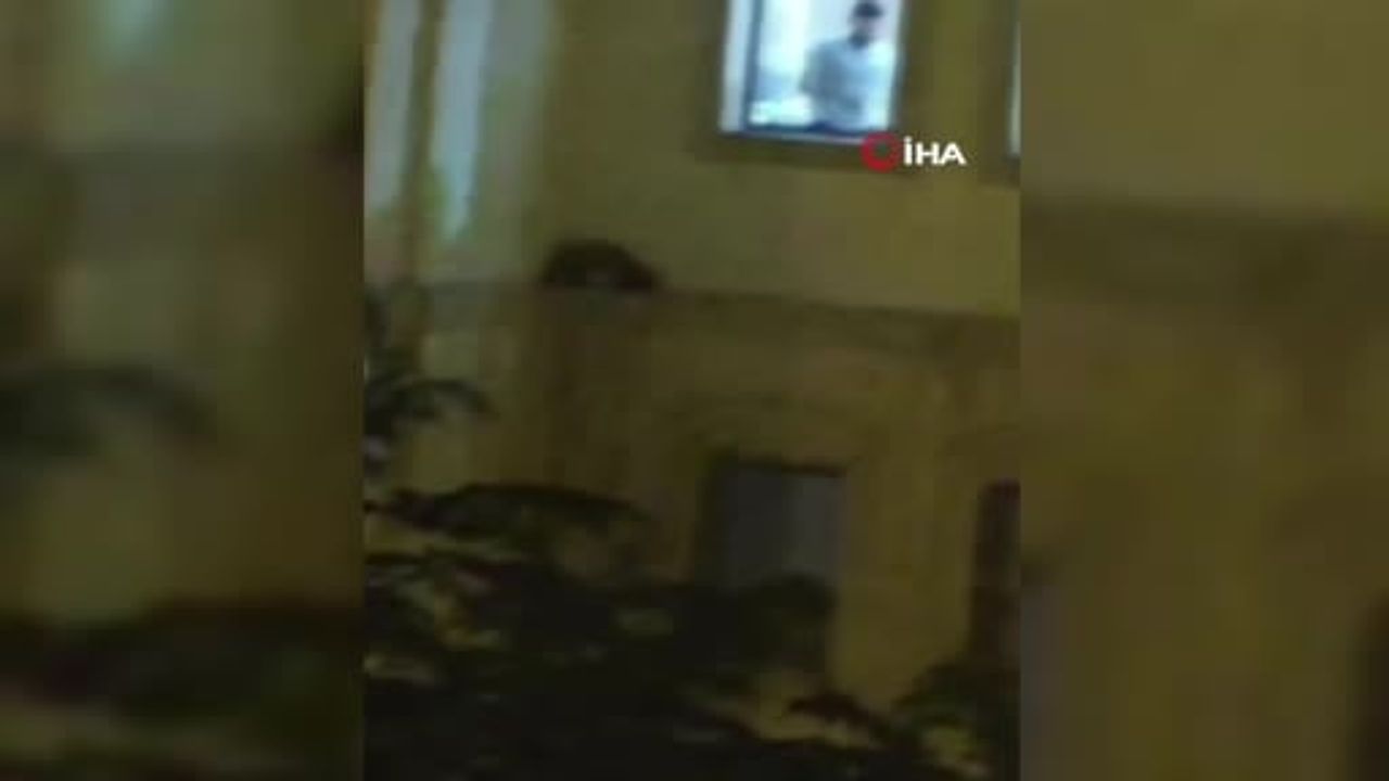 Mardin’de Nusaybin ilçesinde mahsur kalan kedi kurtarıldı