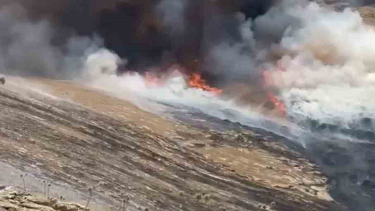 Mardin'de ot yangını itfaiye ekiplerince söndürüldü