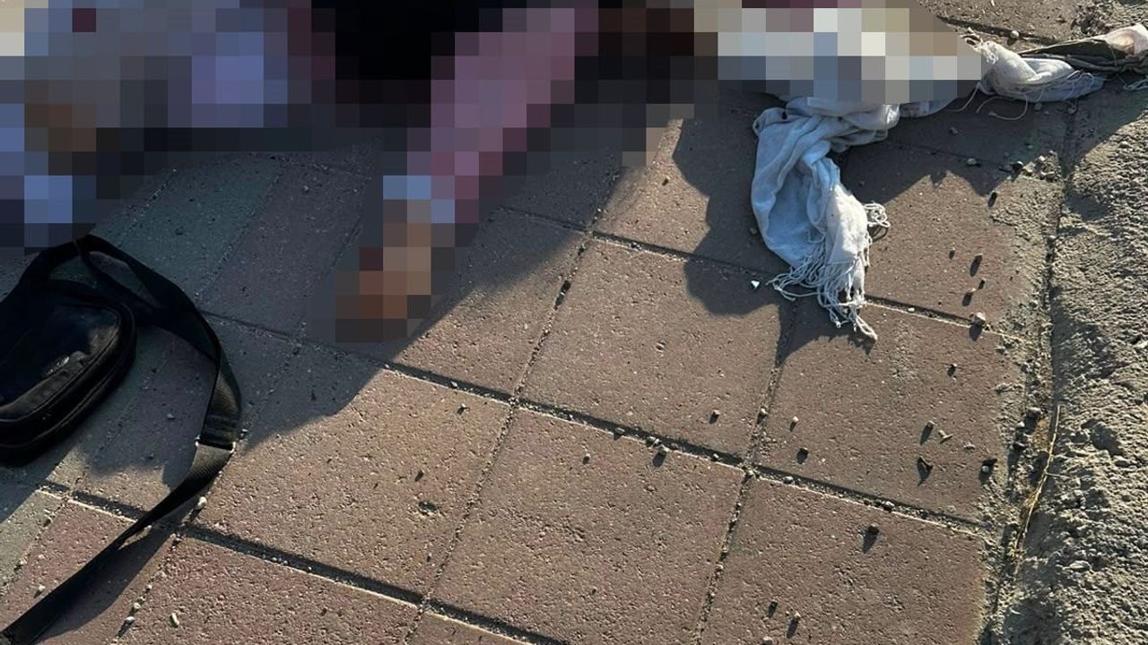 Mardin'de tırın çarptığı 69 yaşındaki kadın hayatını kaybetti
