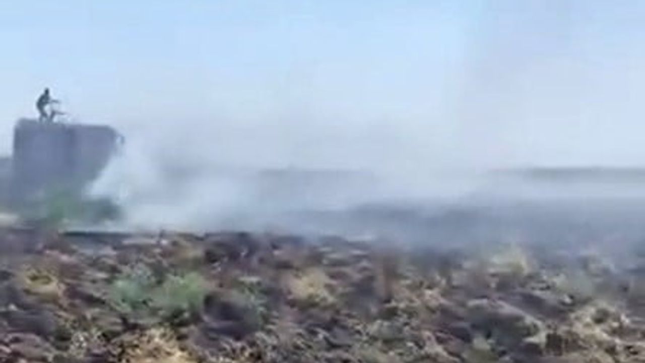 Mardin’deki anız yangını kontrol altına alındı