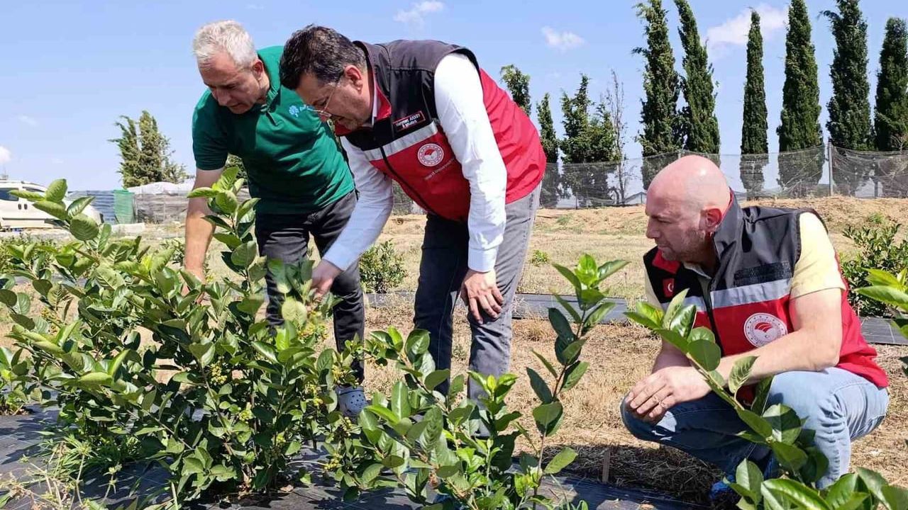 Marmaraereğlisi'nde sıfır atık ve yağmur suyu hasadı uygulayan gıda işletmesine ziyaret