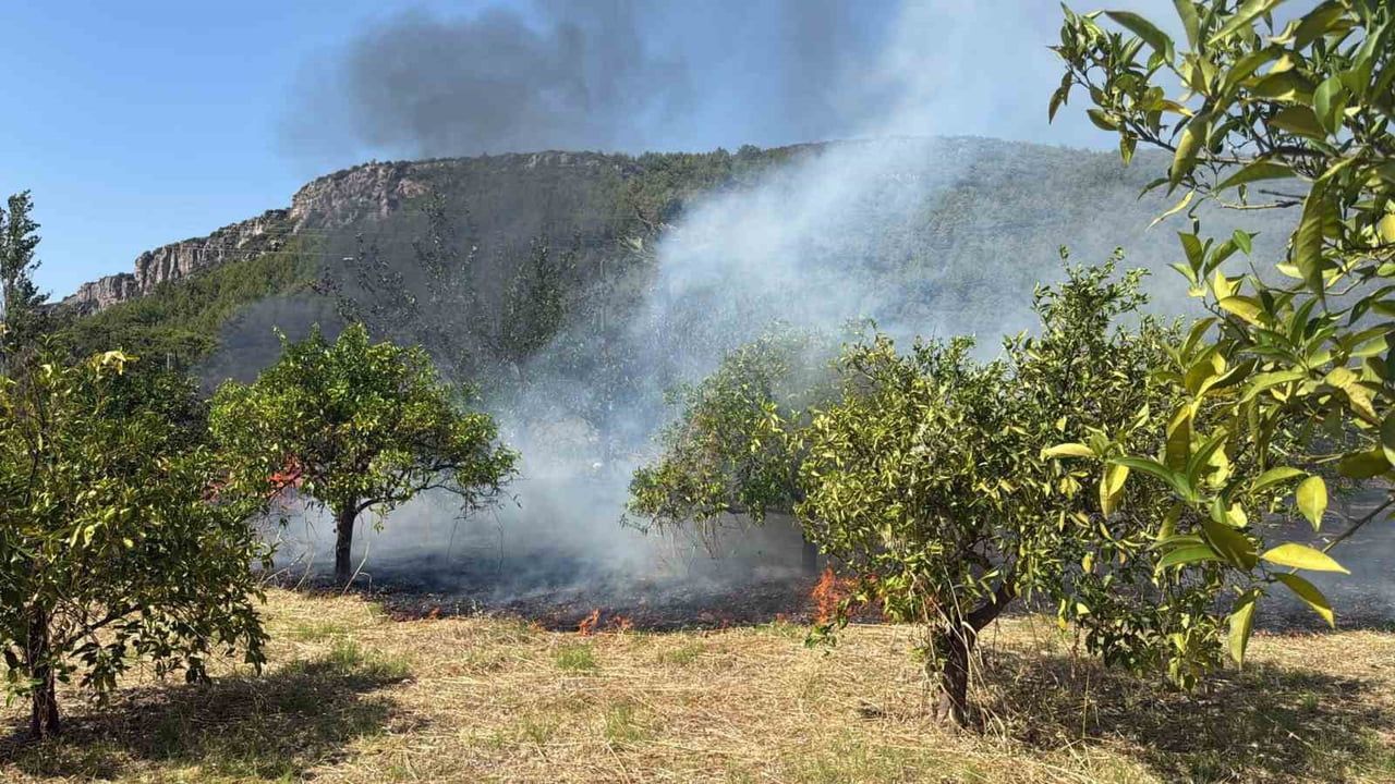 Marmaris'te Karaca Mahallesi'nde otluk alan yangınına müdahale