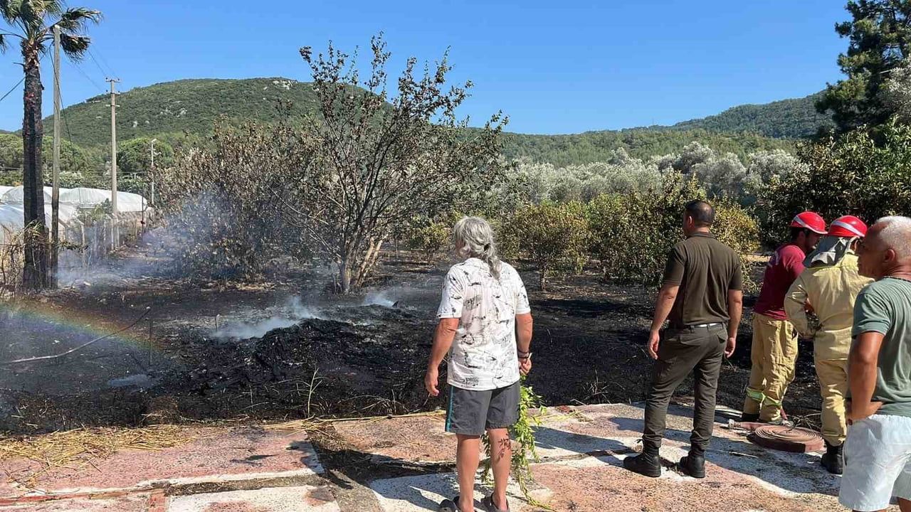 Marmaris’te zirai alan yangını kontrol altına alındı