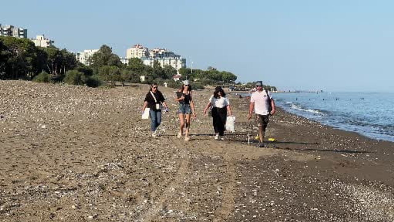 Maviliğe ilk adımlar: Mersin sahillerinde yeşil kaplumbağa yavrularının deniz yolculuğu