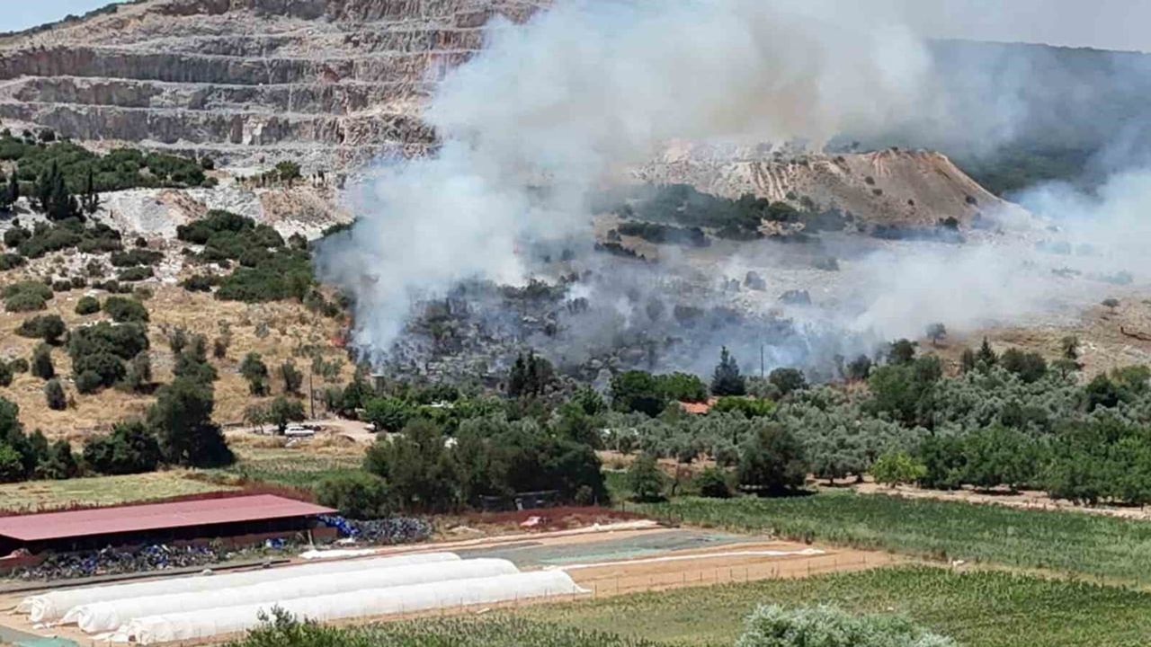 Menteşe’de makilik yangını kontrol altına alındı