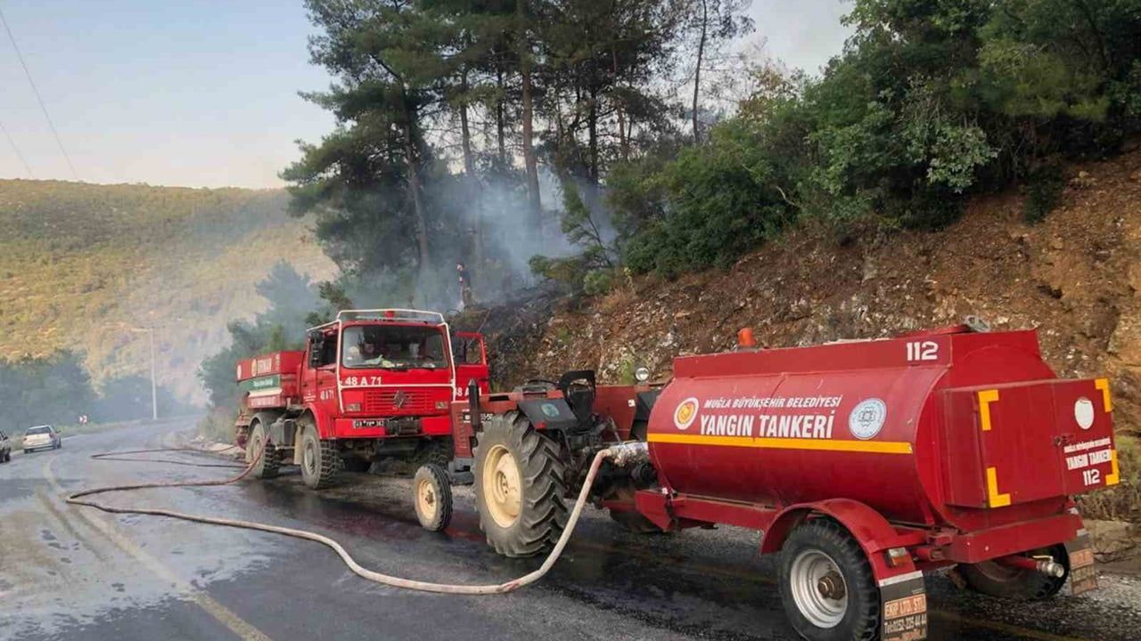Menteşe'de orman yangını büyümeden söndürüldü