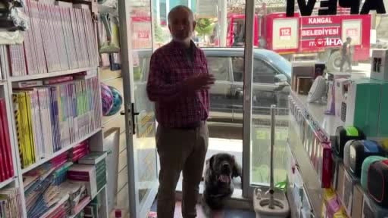 Merada kaybolan keçi sürüsünde 13 hayvan telef oldu, 22'si aranıyor