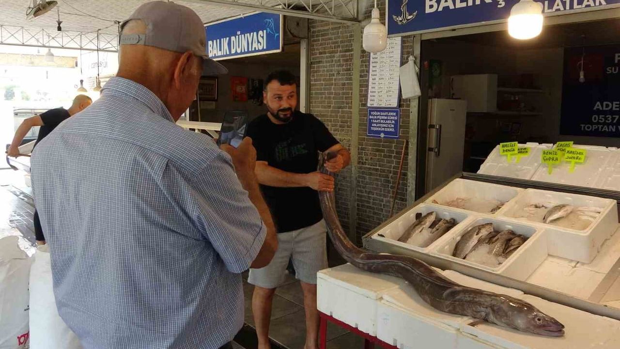 Mersin’de 2 metre uzunluğunda yılan balığı balık pazarında ilgi gördü