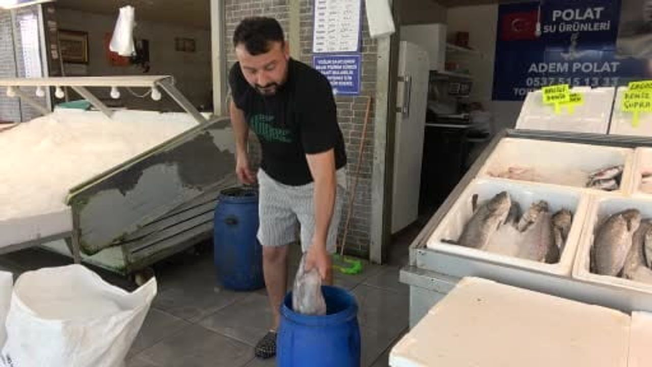 Mersin’de balıkçı tezgahında 2 metre uzunluğunda yılan balığı ilgi odağı oldu