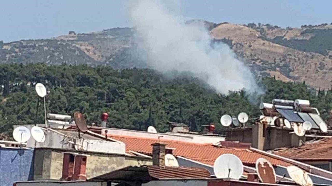 Mesire alanındaki yangın itfaiyenin hızlı müdahalesiyle söndürüldü