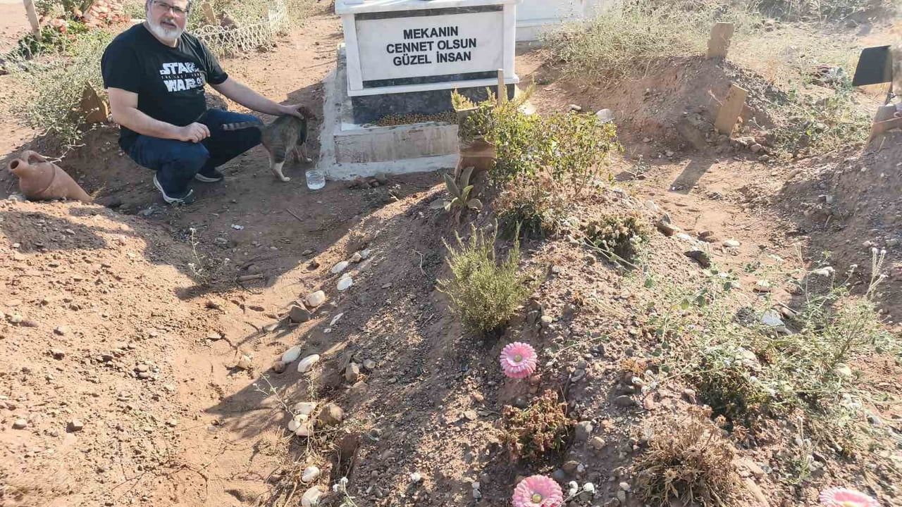 Mezardaki sadakat: Efeler'de aylardır sahibinin başından ayrılmayan kedi