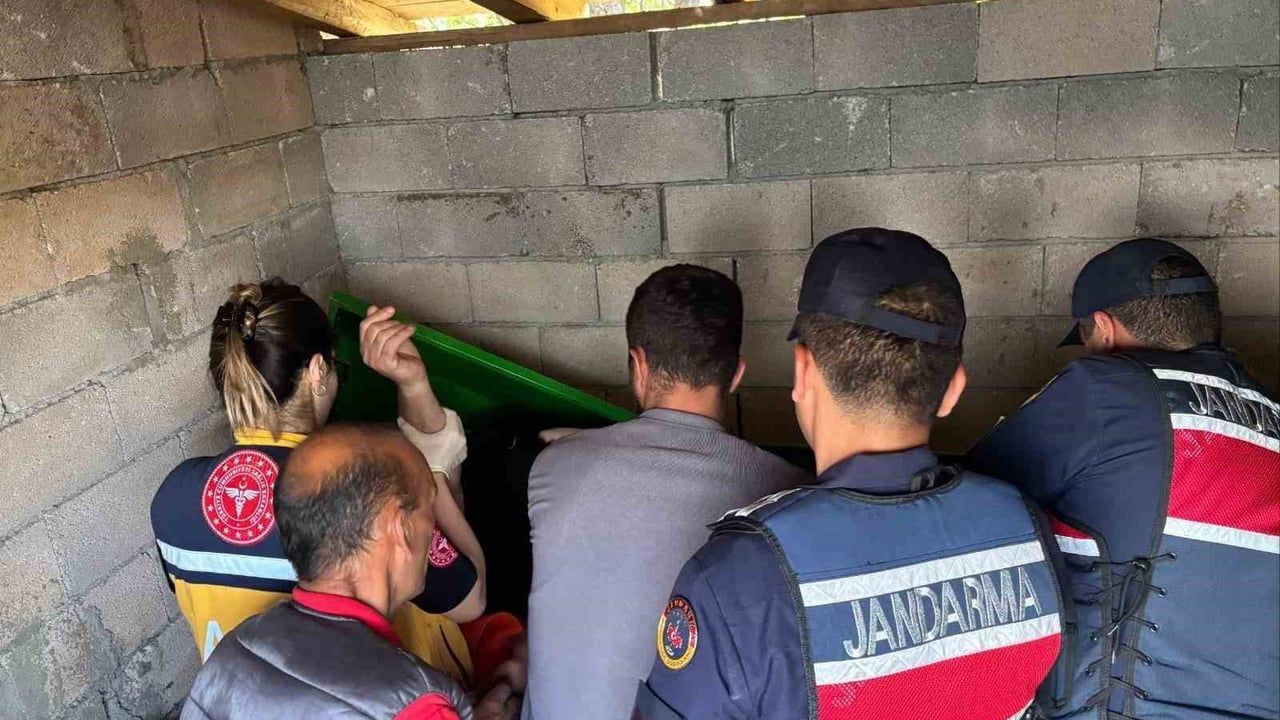 Mezarlık deposunda beklenmedik keşif: tabutun içindeki kişi sağ çıktı