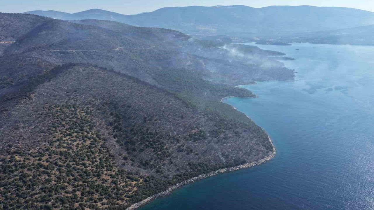 Milas'ta orman yangını 850 hektarlık alanı etkiledi, büyük ölçüde kontrol altında