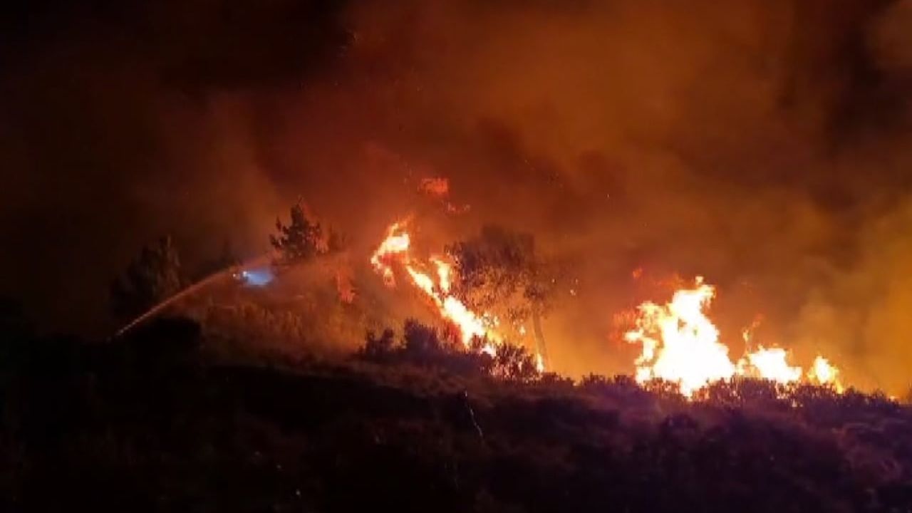 Milas'ta orman yangını gece karadan müdahaleyle sürüyor
