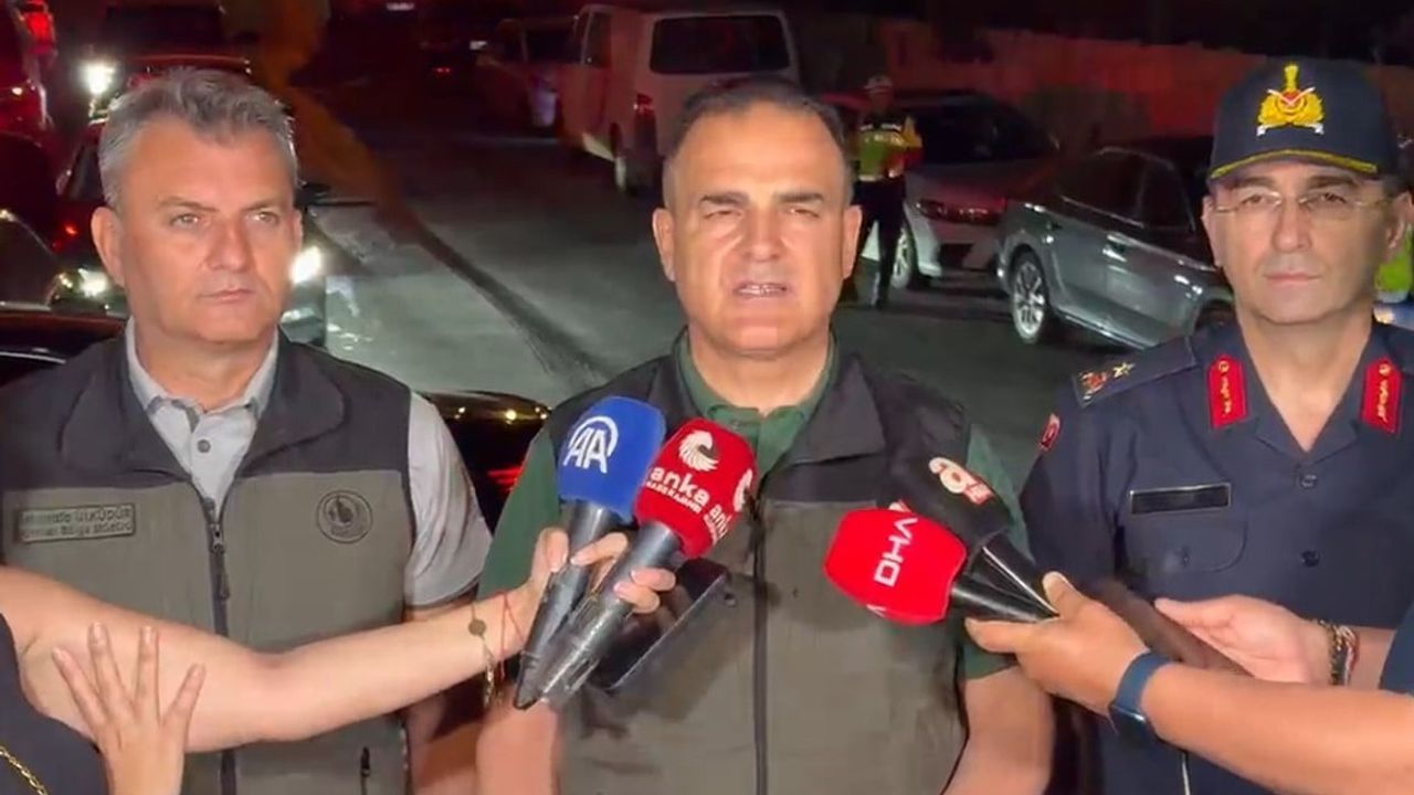 Milas'taki orman yangınında 1.120 kişi güvenli bölgelere sevk edildi