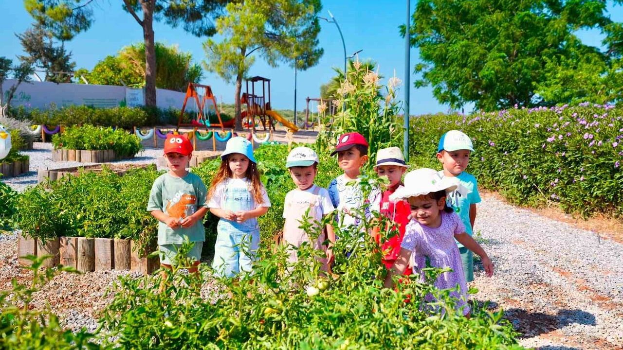 Minik eller toprakla buluştu: Didim Tarım Parkı'nda hasat heyecanı