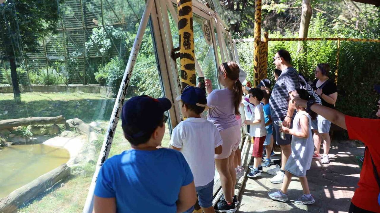 Minik kaşifler hayvanat bahçesinde