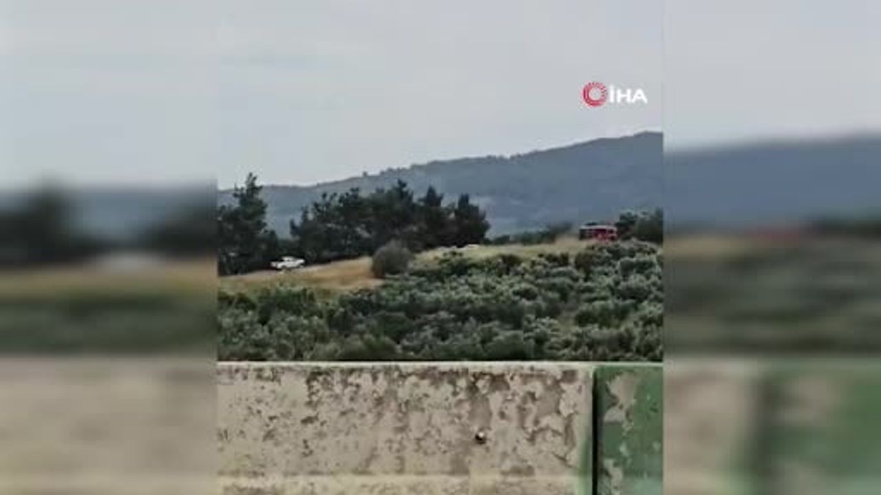 Mudanya'da rüzgarla büyüyen yangın ekiplerin müdahalesiyle kontrol altına alındı