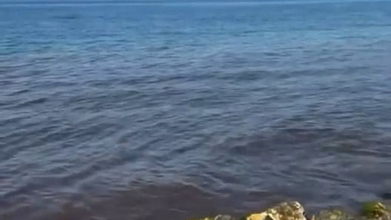 Mudanya sahilinde kanalizasyon atık suyu denize boşaldı, vatandaşlar sudan çıktı