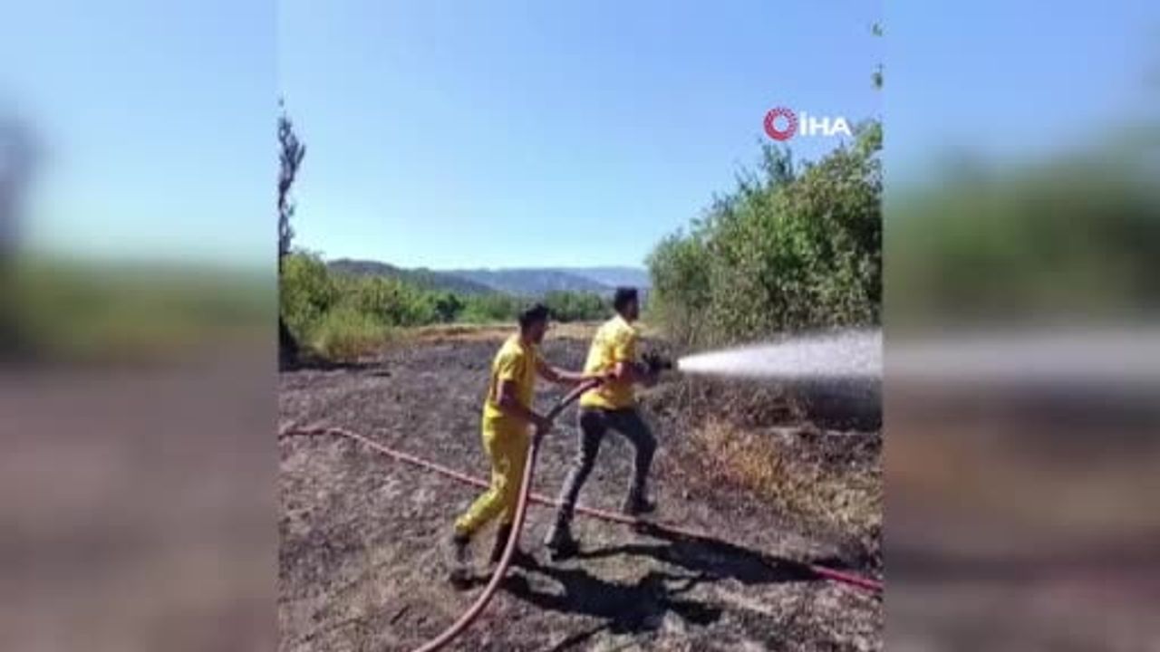 Mudurnu'da rüzgarın taşıdığı alevler buğday tarlasına sıçradı