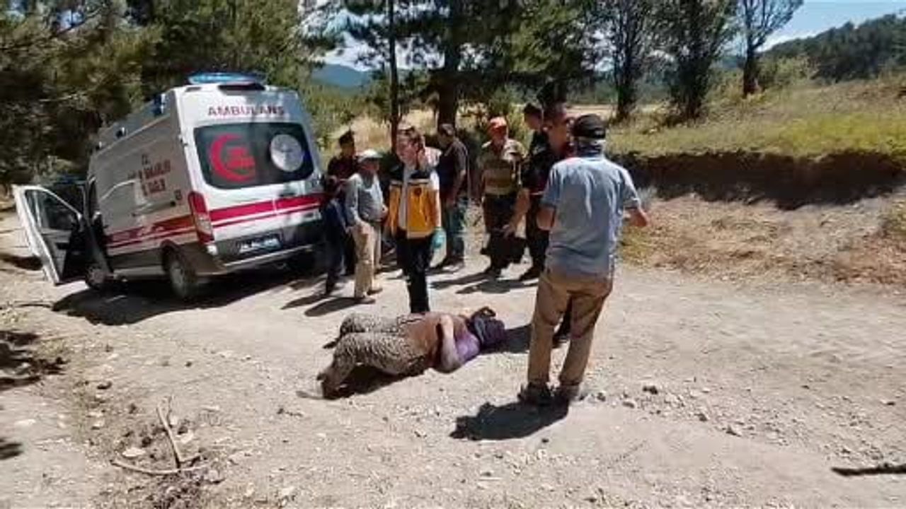 Mudurnu'da traktörden düşen 2 kişi yaralandı