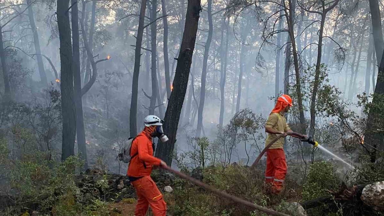 Muğla gönüllü ekipleri Göcek yangınında koordineli müdahaleye destek verdi