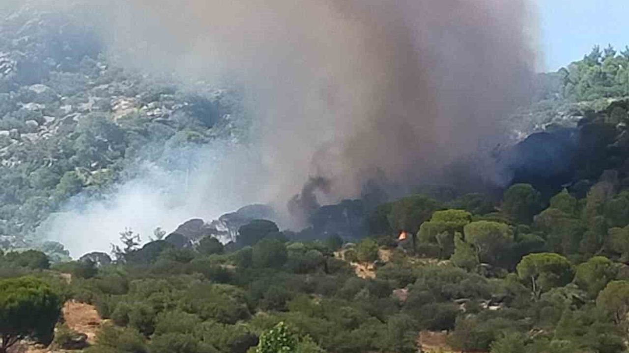 Muğla’nın Kavaklıdere ilçesinde orman yangını