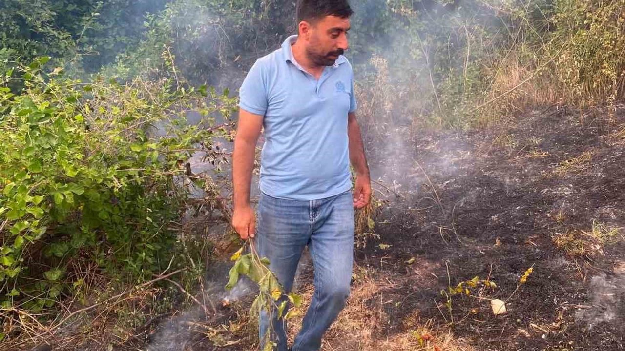 Muhtarın müdahalesiyle büyümeden söndürülen fındıklık yangını