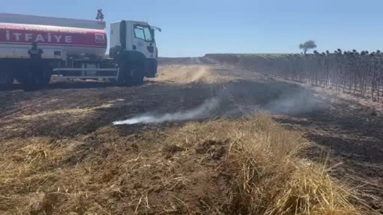 Muratlı’da rüzgarın etkisiyle yayılan anız yangını hızla söndürüldü