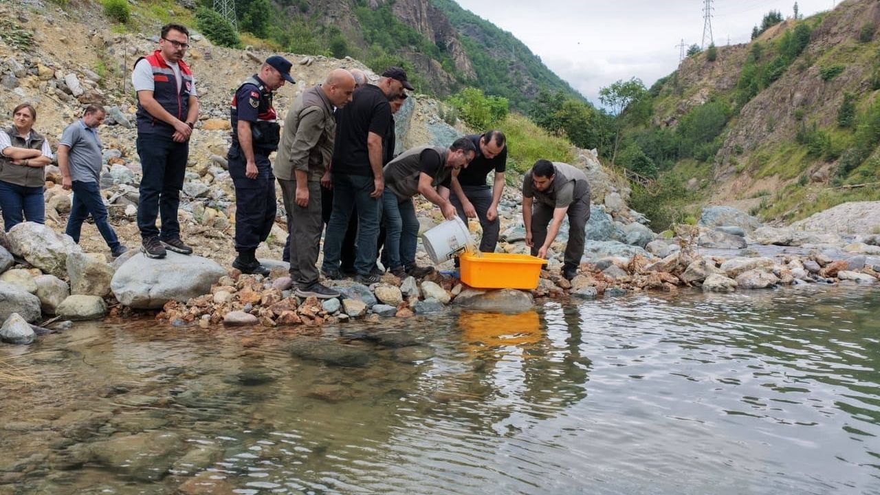 Murgul derelerinde kırmızı benekli alabalıkların yeni nesli suyla buluştu