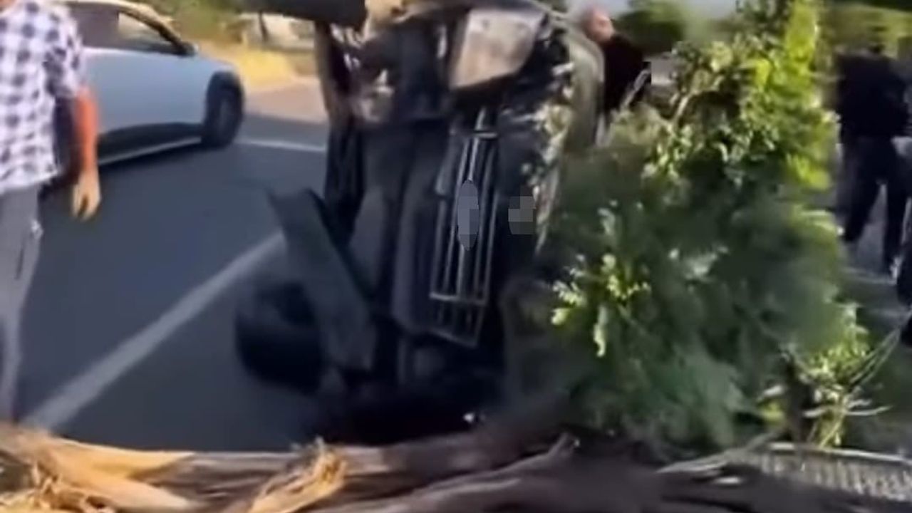 Muş'ta İl Özel İdaresi aracının takla atması: 1 yaralı