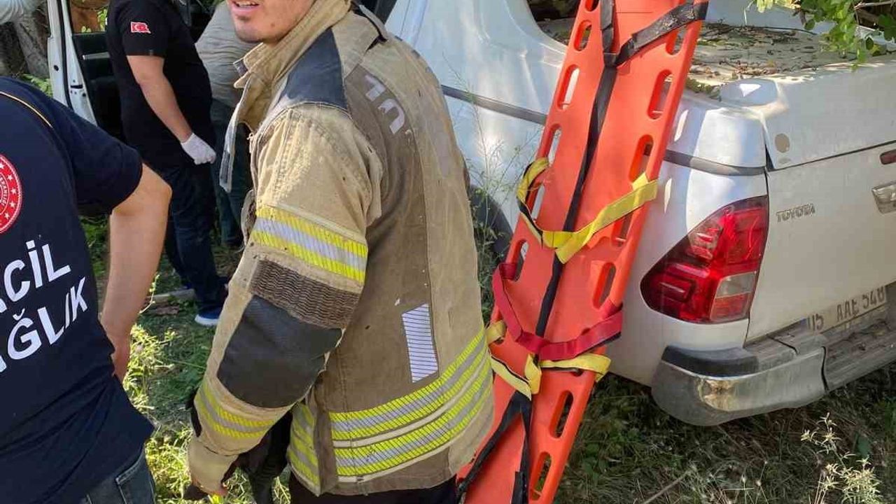 Muş'ta kamyonet şarampole devrildi: 2 yaralı