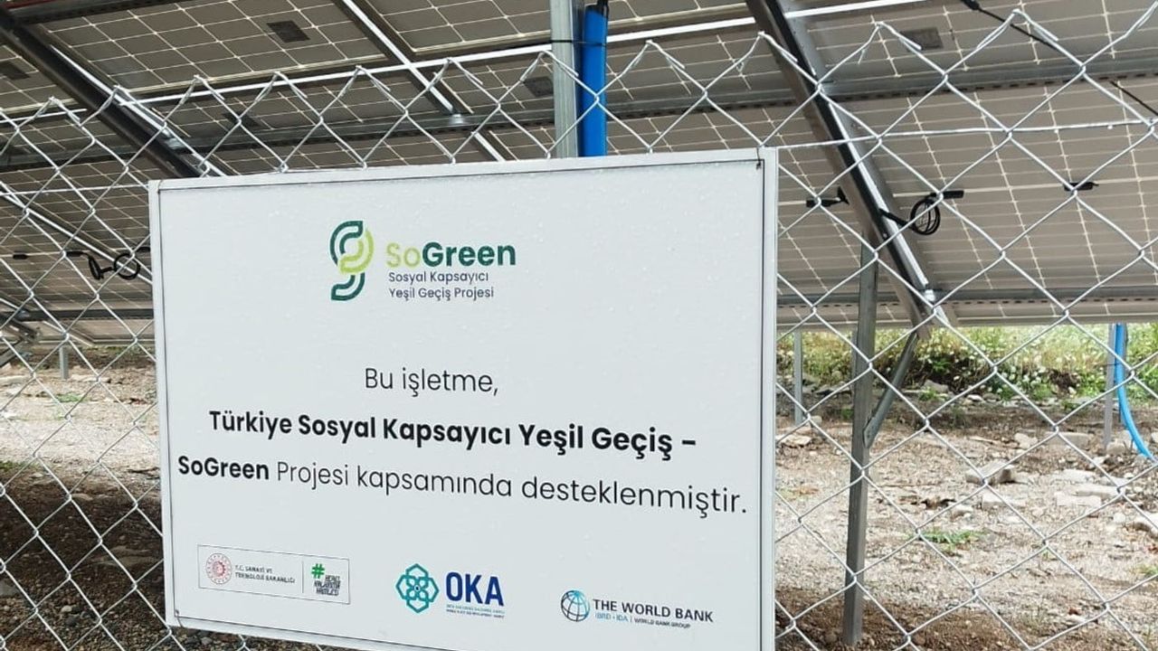 Niksar'da ceviz üretimi güneş enerjisiyle ekonomik ve çevresel dönüşüm yaşıyor