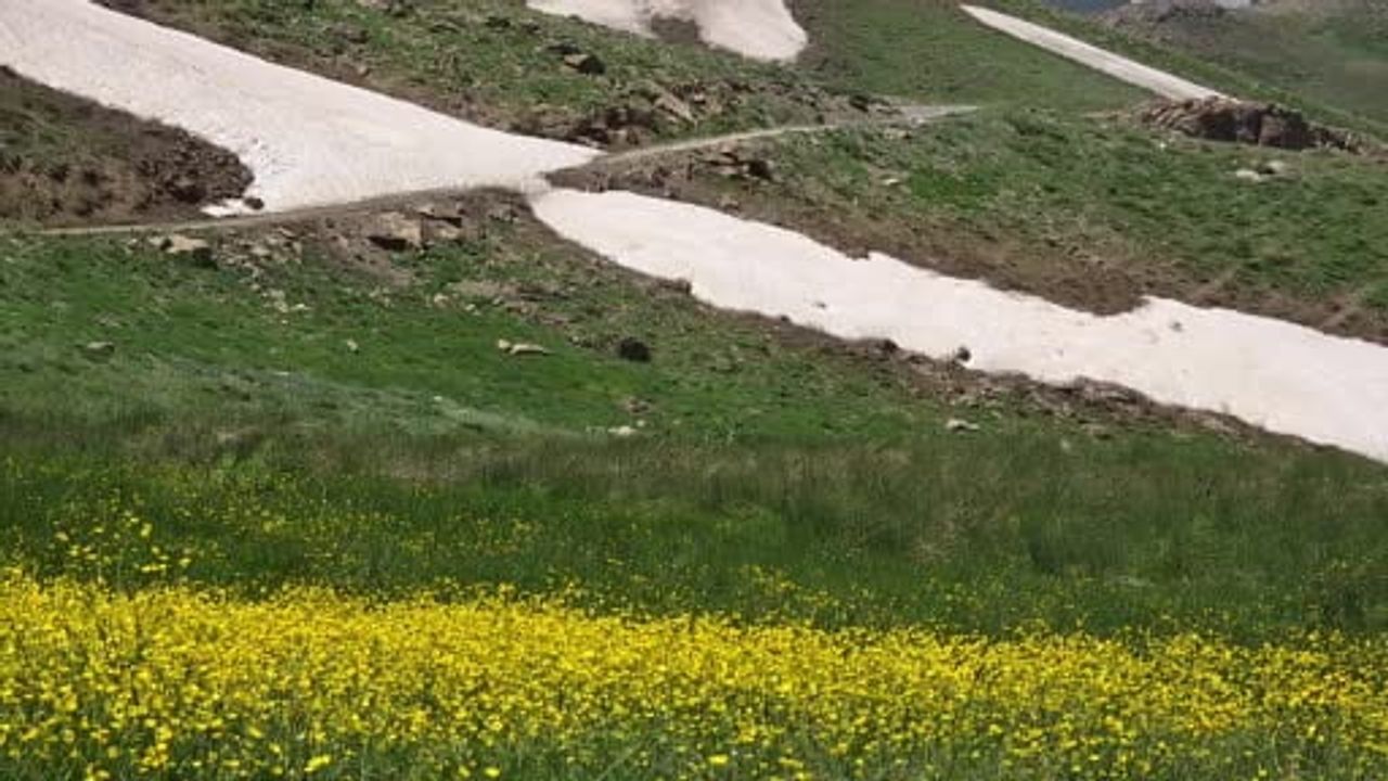 Norduz yaylaları ve karlı zirveleriyle doğaseverleri ağırlıyor